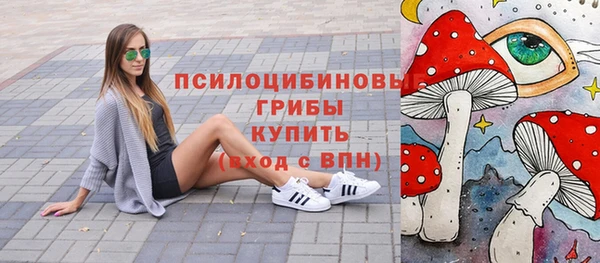 стаф Бронницы