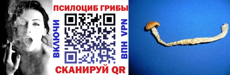 Галлюциногенные грибы мицелий  Грозный 